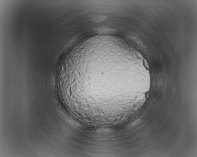 X0000073840357200608241023