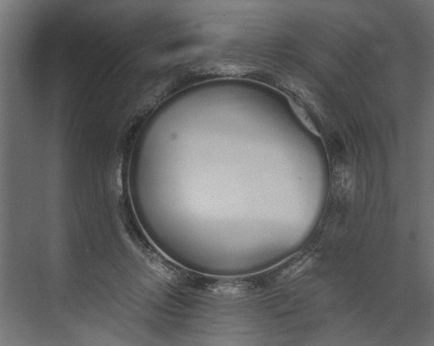 X0000073840358200608241023