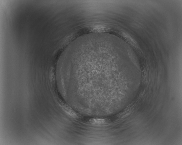 X0000073840361200608241023