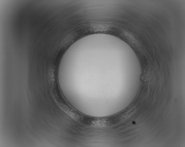 X0000073840362200608241023