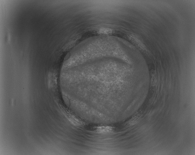 X0000073840363200608241023