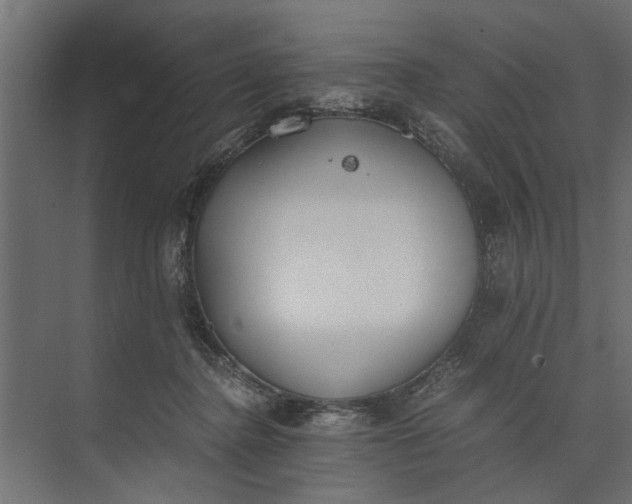 X0000073840364200608241023