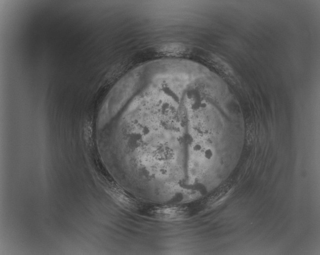 X0000073840365200608241023