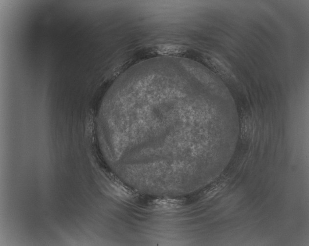 X0000073840367200608241023