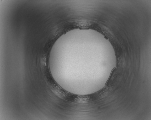 X0000073840368200608241023