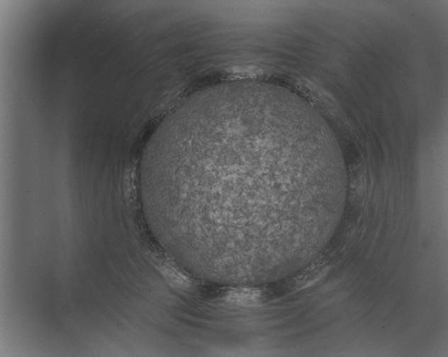 X0000073840369200608241023