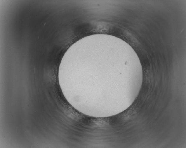 X0000073840370200608241023