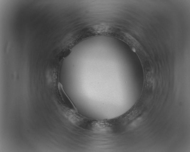 X0000073840372200608241023