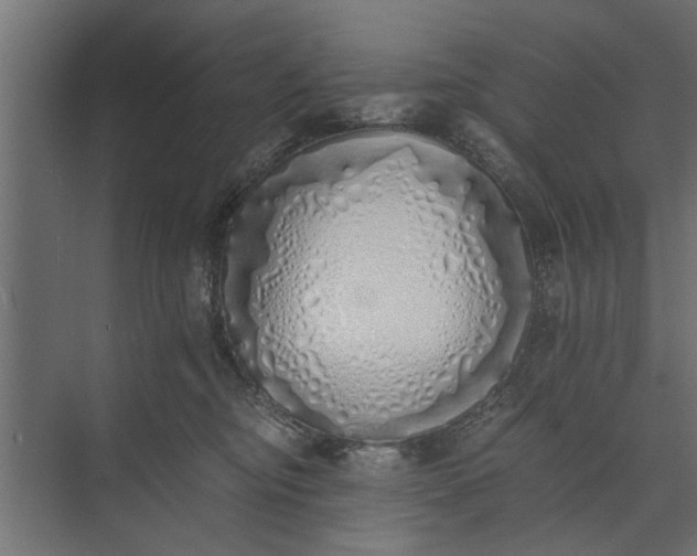 X0000073840374200608241023