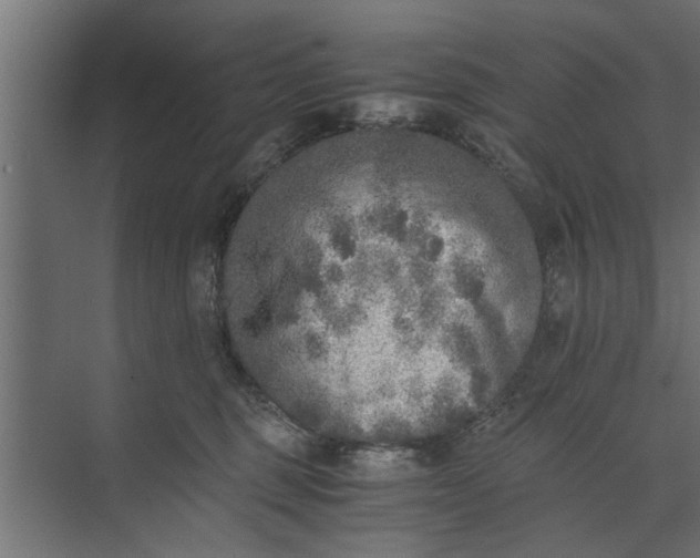 X0000073840375200608241023