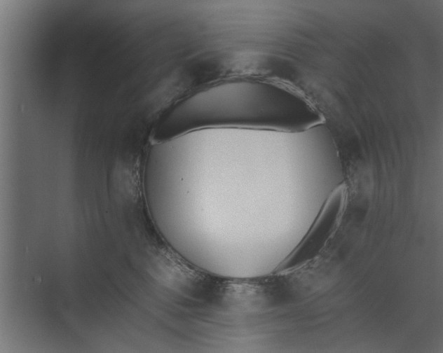 X0000073840376200608241023