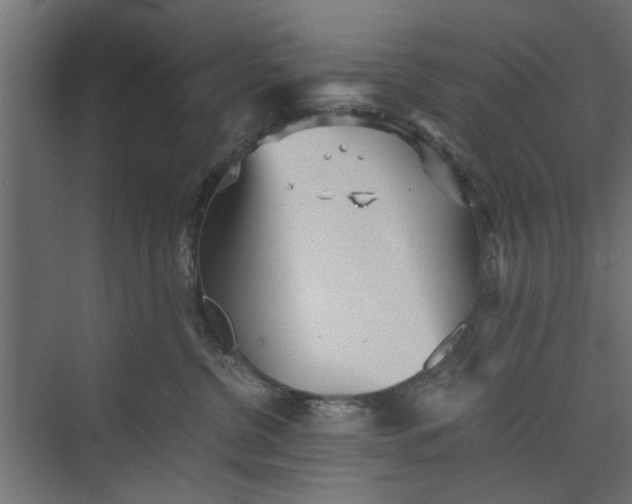 X0000073840380200608241023