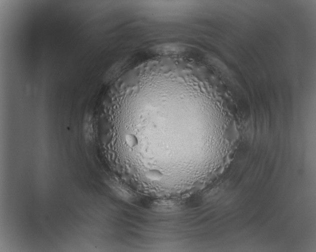 X0000073840381200608241023