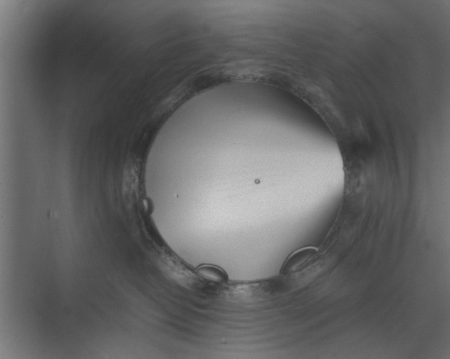 X0000073840382200608241023