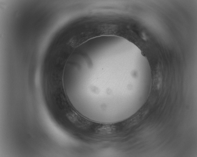 X0000073840383200608241023