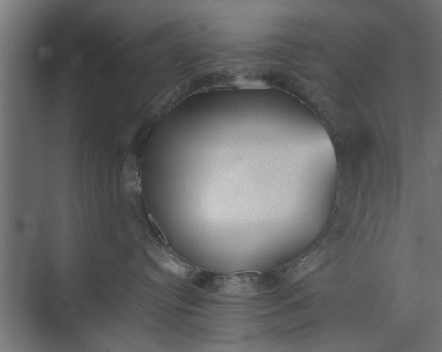 X0000073840384200608241023