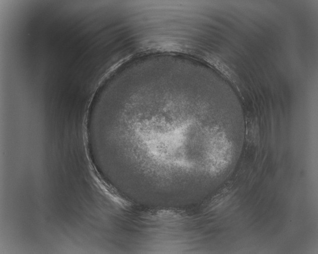 X0000073840390200608241022