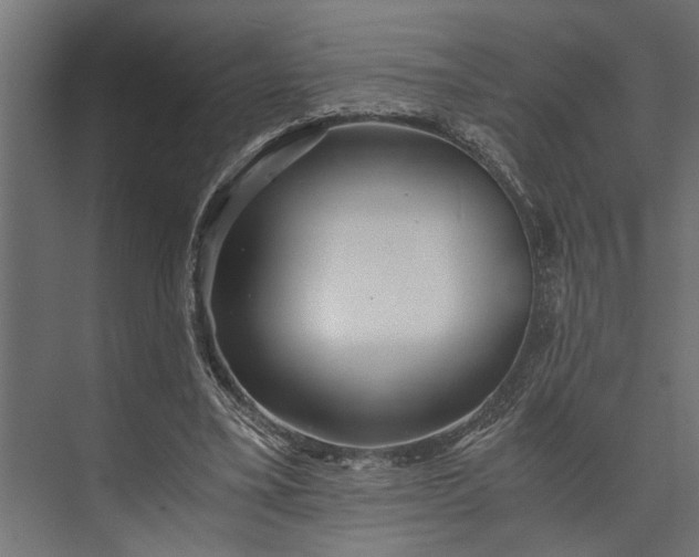 X0000073840395200608241022