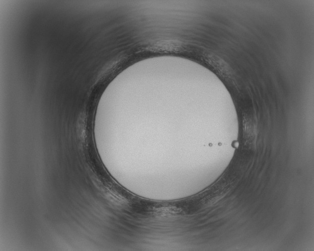 X0000073840396200608241022