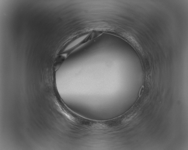 X0000073840397200608241022