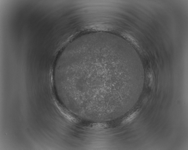 X0000073840398200608241022