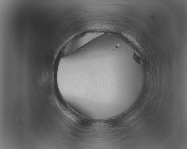 X0000073840399200608241022