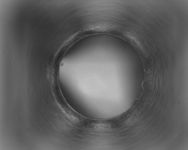 X0000073840400200608241022