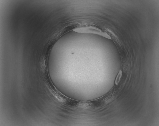 X0000073840405200608241022