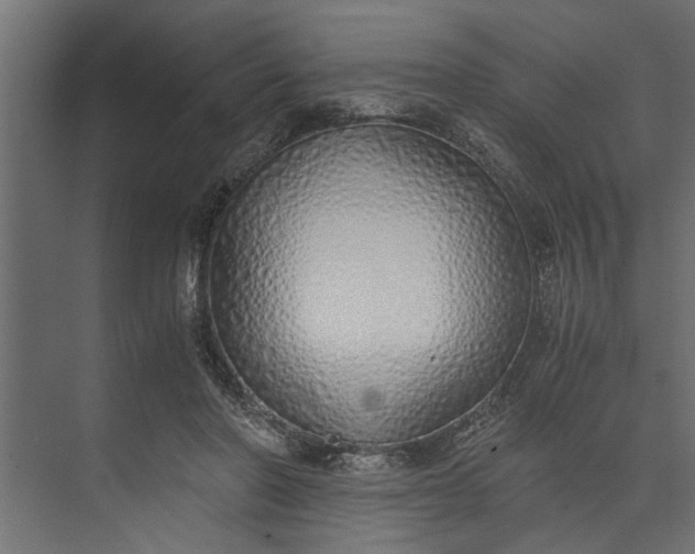 X0000073840406200608241022