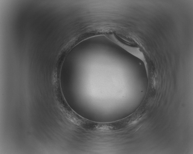 X0000073840407200608241022