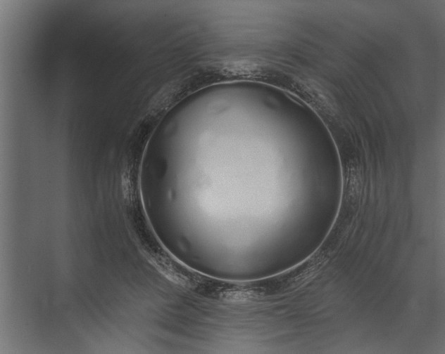 X0000073840408200608241022