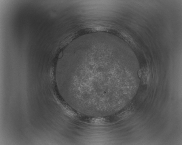 X0000073840410200608241022