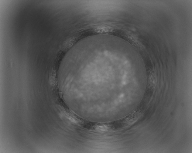 X0000073840411200608241022