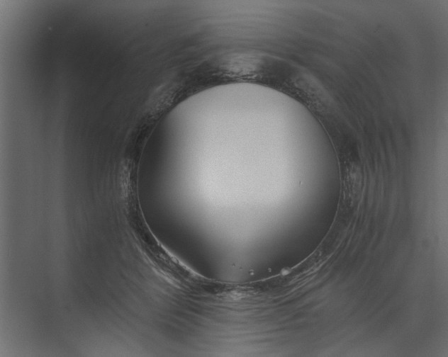 X0000073840412200608241022