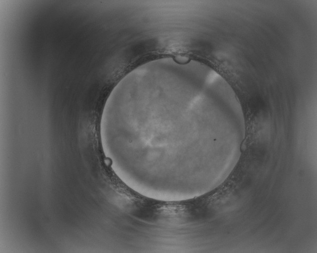 X0000073840415200608241022