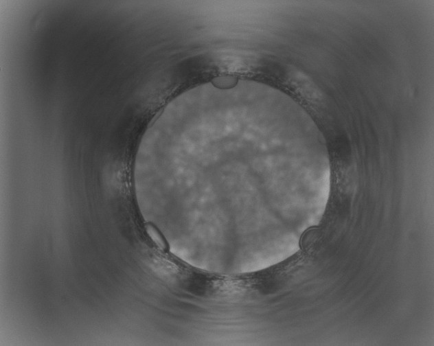 X0000073840419200608241022