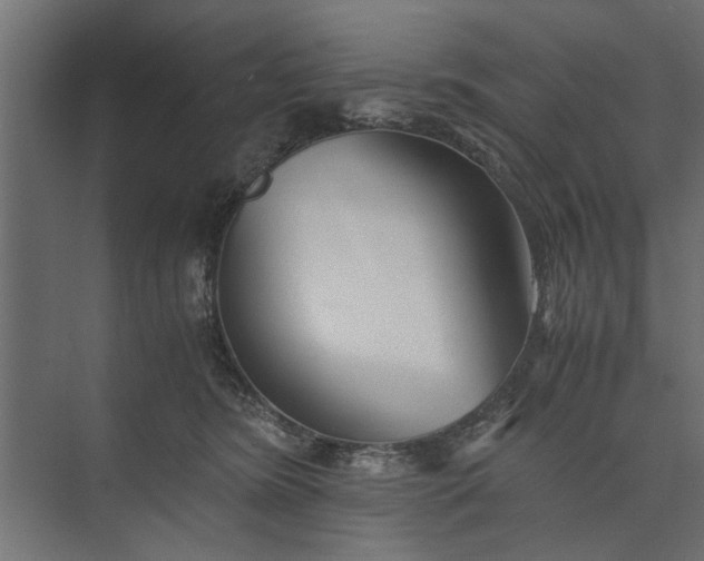 X0000073840420200608241022