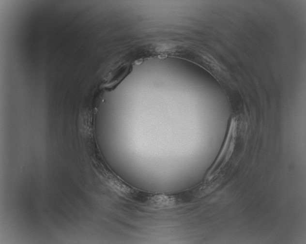 X0000073840421200608241022