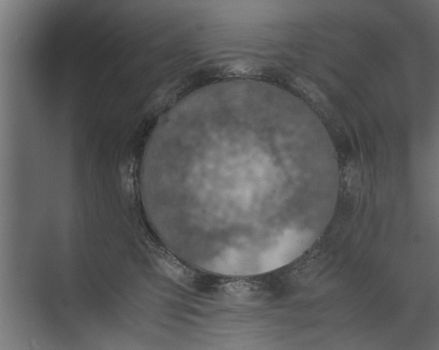 X0000073840423200608241022