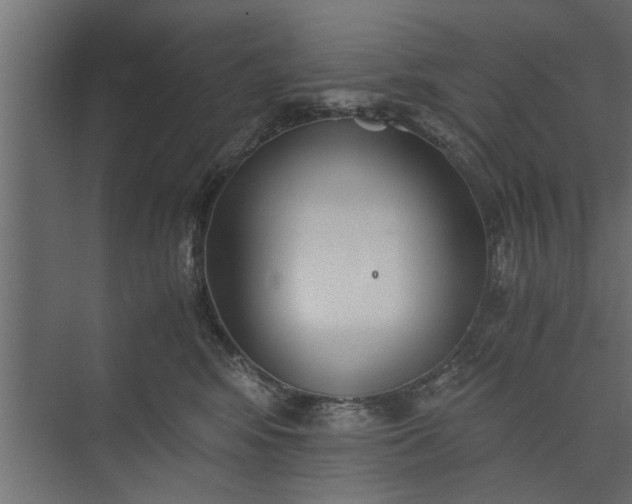 X0000073840424200608241022