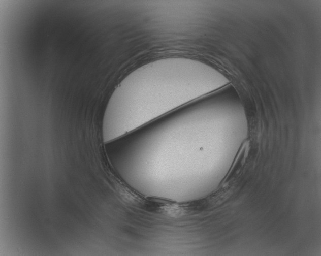 X0000073840425200608241022