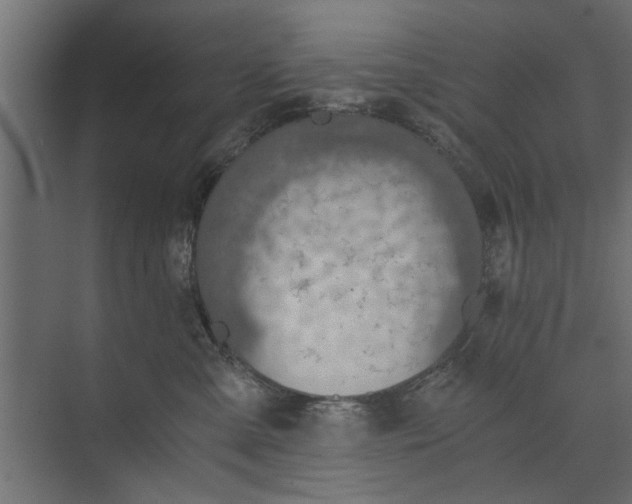 X0000073840427200608241022