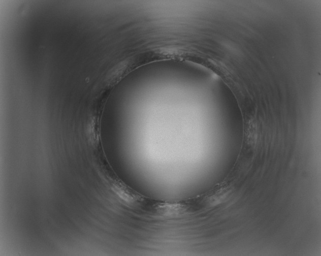 X0000073840428200608241022