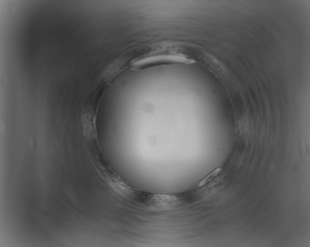 X0000073840429200608241022