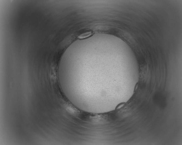 X0000073840430200608241021