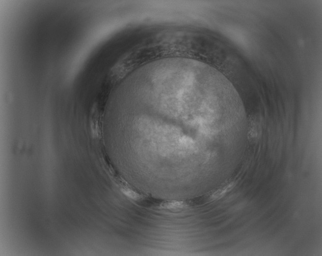 X0000073840431200608241021