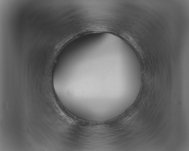 X0000073840433200608241021