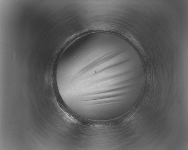 X0000073840434200608241021