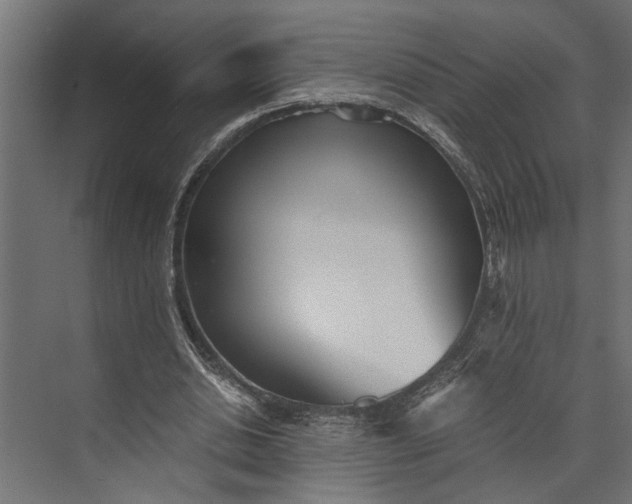 X0000073840438200608241021