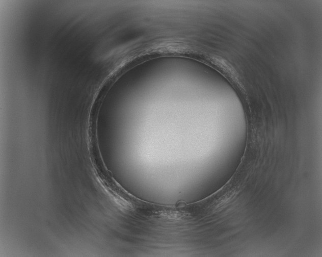 X0000073840439200608241021